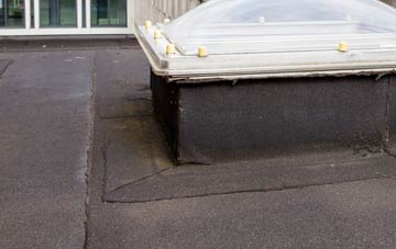 disadvantages of Northpunds flat roofs