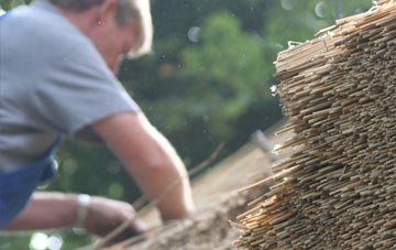 professional Northpunds thatchers